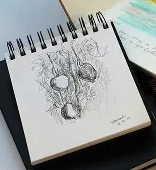 sketchbook